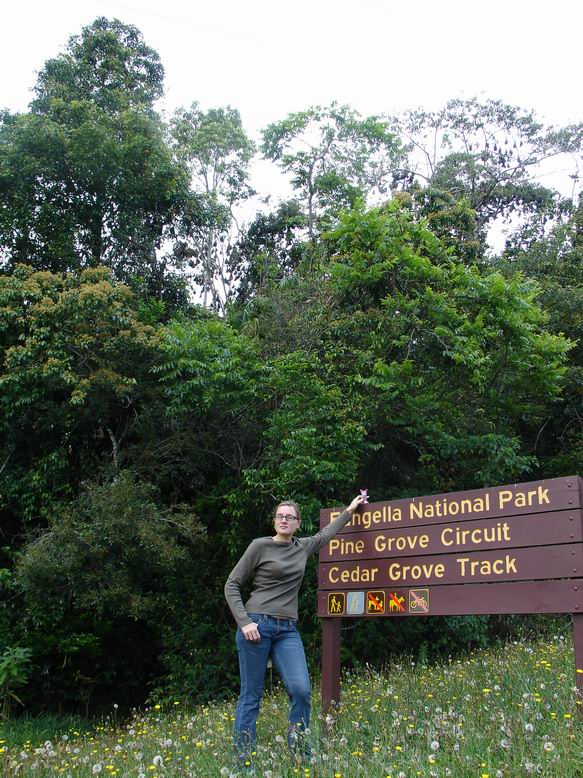 Eungella national park a nade mnou tisice netopiru