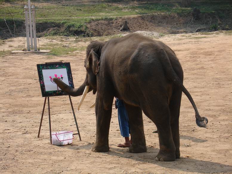 Nekteri sloni dokazi nakreslit i obraz, sice je pokazde stejny ale umiiii.