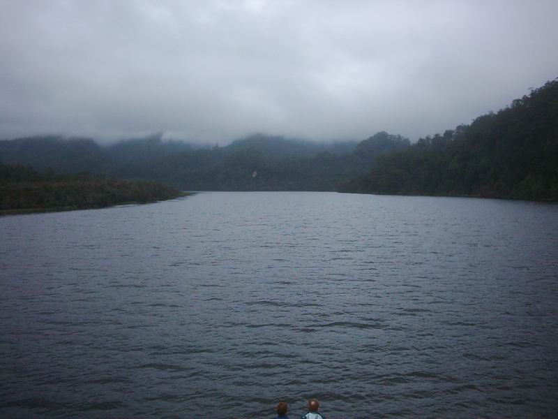 Prales obklopujici reku je zapsan na zeznamu UNESCO (diky nenarusene prirode a diky specialnimu druhu borovice - Huon pine).