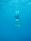 Egypt_Diving_057.JPG