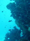 Egypt_Diving_069.JPG