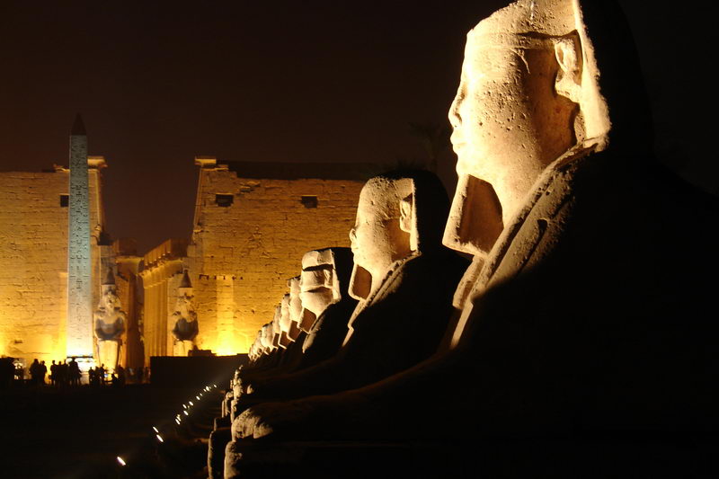 A well preserved sphinx at Luxor Temple