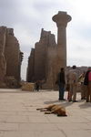 Egypt_2007_233.JPG