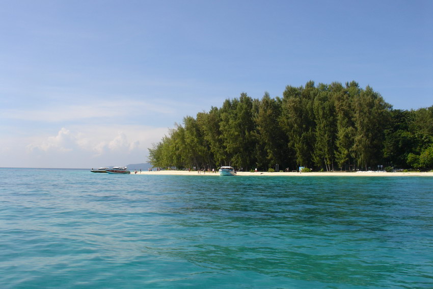 Bambusovy ostrov