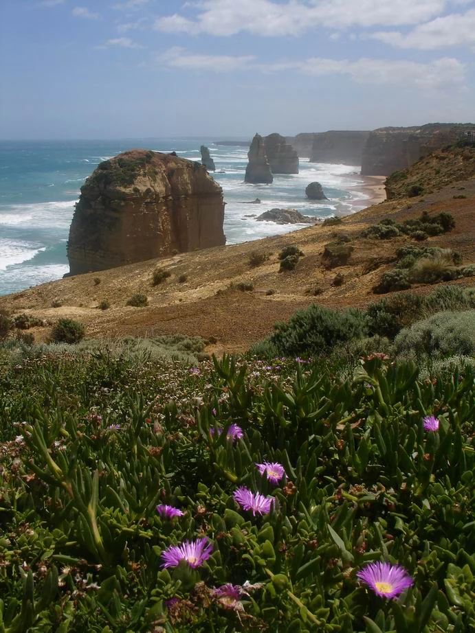 Coast